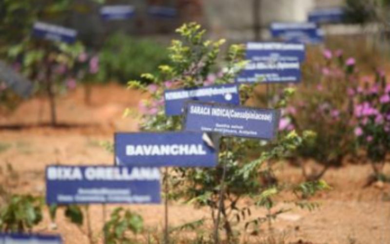 Untitled design - 2026-03-14T160054.069